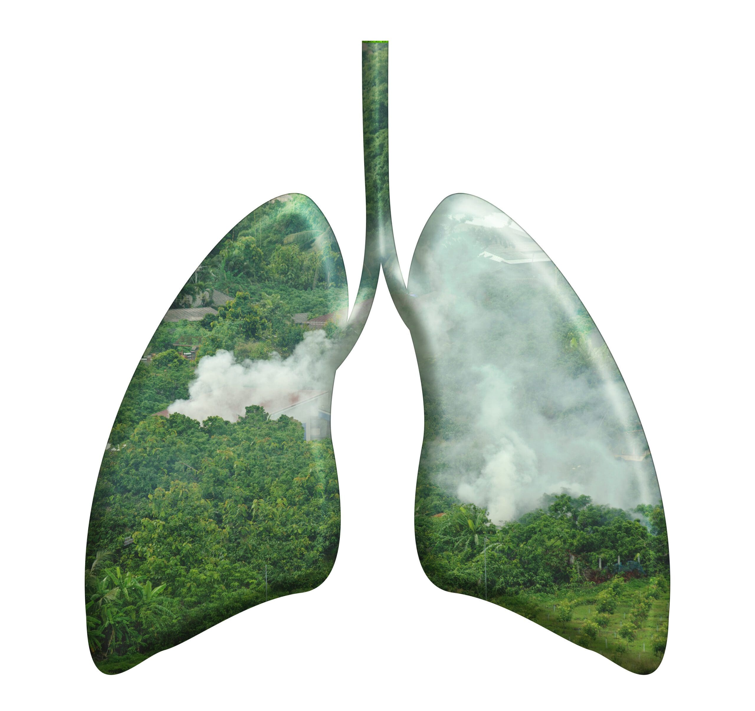 Wildfire smoke and your lungs