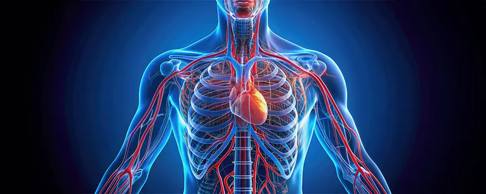 CT-VQ – A Better Pulmonary Perfusion Test